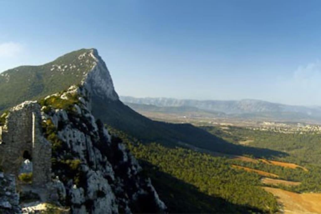 Gite Du Pic Saint Loup Valflaunes Екстериор снимка